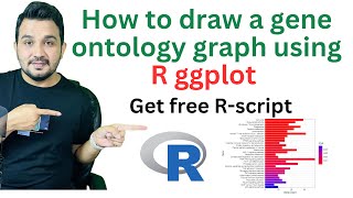 How to draw gene ontology bar graph using R studio