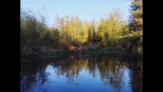 Keep the West Creek Wetlands Beautiful