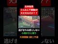 いまいち調子が上がらず簡単に捲られる北井佑季！！競輪gpまでに復調なるか 北井佑季選手 小畑勝広選手 大垣競輪 g3 s級二予選