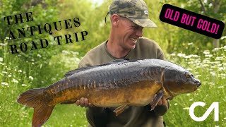 THE ANTIQUES ROAD TRIP! CARPANGLE.TV GOLD