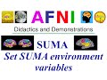 [AFNI Academy] Set SUMA environment variables