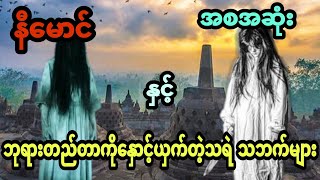 နီမောင် နှင့် ဘုရားတည်တာကိုနှောင့်ယှက်တဲ့သရဲ သဘက်များ (အစအဆုံး)