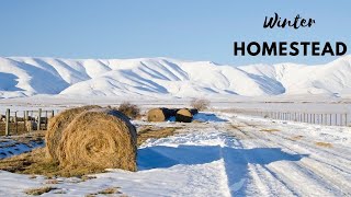 Farm life in Winter| #Farmlife #snow #homesteadCanada #hobbyfarm