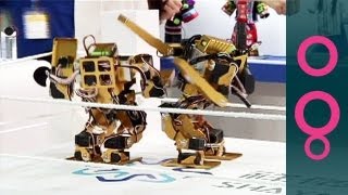 Robotic extravaganza in Taiwan: from exoskeletons to prize-fighter robots