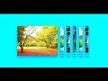 Hover Gallery CSS | Image overlay hover effects with CSS #hovereffect #image #overlay