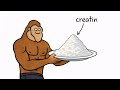 Creatine Explained With a Monkey