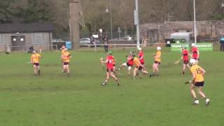 Fitzgibbon Cup 1/4  Final DCU v UCC