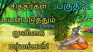 சித்தர்கள் பயன்படுத்தும் மூலிகை மர்மங்கள்!  | பகுதி-2