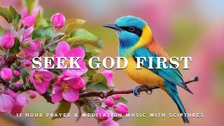 Seek God First: Instrumental Worship and Scriptures with Birds 🕊 Eternal Keys