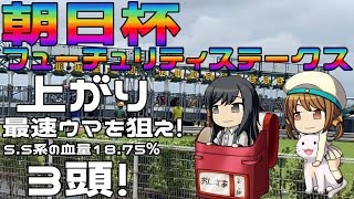 激荒れ！【2024年朝日杯フューチュリティステークスゆっくり競馬予想】京都連続開催で芝ボロボロ！上がりの速いウマを狙え！レース上がりを1秒も上回るウマが２頭！