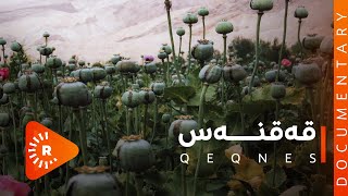 BelgeFilm - Qeqnes | بەڵگەفیلم - قەقنەس