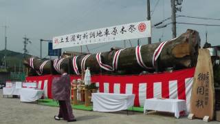 東岸和田だんじり　土生瀧町原木祭　平成２９年５月２１日