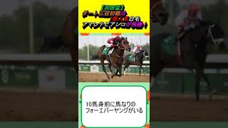 【羽田盃】ダート三冠初戦は1番人気白毛アマンテビアンコが快勝！ #競馬予想 #馬券 #アマンテビアンコ #アンモシエラ #フロインフォッサル #ブルーサン #川田将雅 #横山武史 #白毛 #ソダシ