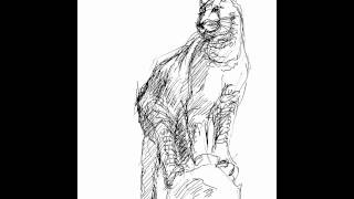 Big Cat (iPad speed drawing)