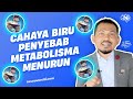 CAHAYA BIRU PENEYEBAB METABOLISMA MENURUN