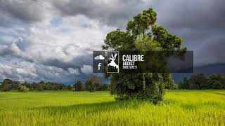 Calibre - Addict