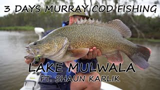 3 Days Lake Mulwala Murray Cod Fishing Madness! #fishing #mulwala #cod