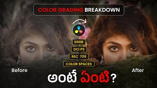 The Art of Color Grading: Rakesh Goud's Masterclass