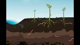 What is Soil? - မြေဆီလွှာဆိုတာ ဘာလဲ။