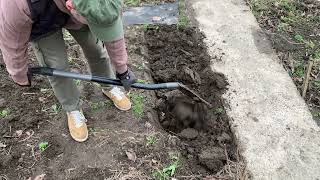 Faut-il absolument bêcher son jardin?!?  tuto bêchage Facile . #jardin #potager