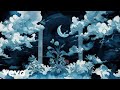 Tedua - Paradiso II (Visual Video)