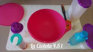 Pane/Panini veloce con La Ciotola, Foglio in Silicone, Breadsmart, Condi e Servi Flexy Tupperware