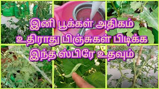 அதிக மகசூல் எடுக்க இந்த பயிர் ஊக்கியை ஸ்பிரே செய்யலாம்.