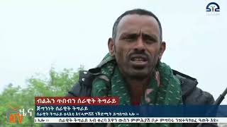 ATV: ጅግንነት ሰራዊት ትግራይ