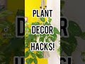 PLANT DECOR HACKS | DIY TIKTOK COMPILATION | HOME DECOR TRENDS TIKTOK #shorts #diy