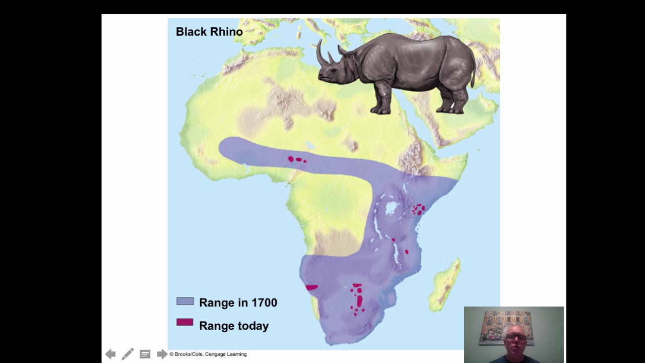Apes Chapter 9 Youtube