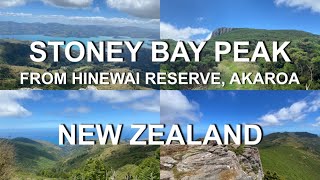 [4K] Top of Stony Bay Peak | from Hinewai Reserve | Banks Peninsula | South Island | New Zealand