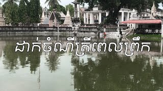 ដាក់​ចំណី​ត្រី​ពេល​ព្រឹក