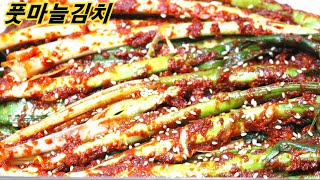 풋마늘김치/초간단으로 맛있게 담기 풋마늘 김치담그는 법/밥상매일(Every table)