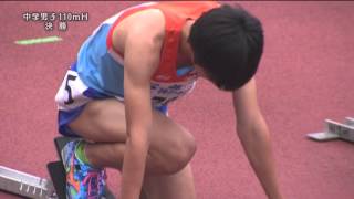 第６４回兵庫リレーカーニバル　中学男子110ｍH