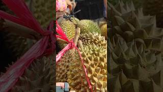 Bawor Montong Lokal Doro #durian #pasardurian #hargadurian #durianlover