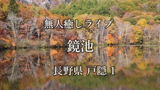 【6KｵｰﾊﾞｰｻﾝﾌﾟﾘﾝｸﾞFull HD】】無人癒しライブ長野県 戸隠 鏡池　Togakushi Mirror Pond #鏡池　#戸隠　#水鏡