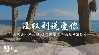 王嘉一 - 没权利说爱你 [其实也不太好过 想对你说自尊偏让我沉默着] 【動態歌詞/pīn yīn gē cí】