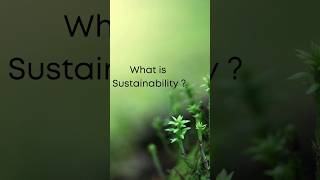 What is Sustainability ?