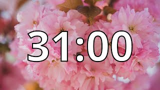 31 Minutes Timer with Music | Cherry Blossom Timer