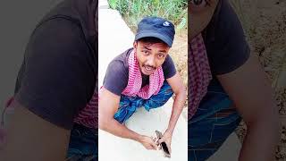 মুই আইফোন কিনে ফেলেছি 😄😄।   #reels #funny #funnyvideo #comedy #entertainment