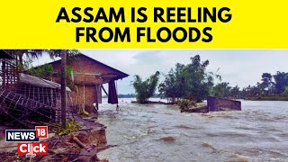 Assam Flood 2023 | Nearly 1.20 Lakh People in 20 Districts Affected | Assam Flood News | News18