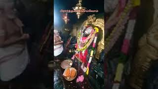 திருவக்கரை வக்ர காளியம்மன் கருவறை நேரடி தரிசனம் பிரார்த்தனை செய்வோம்