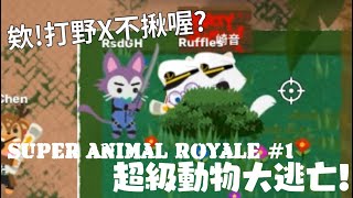 【阿光RsDGh】超級動物大逃殺 - 這遊戲好可愛，但我是真的不會玩啦! (Super Animal Royale)