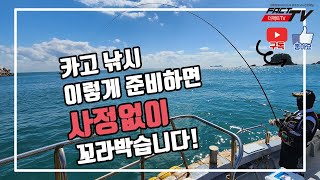 [ 제61화 - 리뷰편 ] 카고낚시 이렇게 준비하면 사정 없이 꼬라박습니다!!!