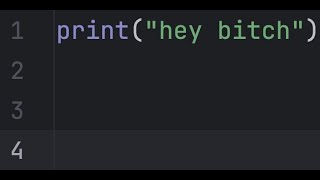 Python Print Function for dumb MFERS