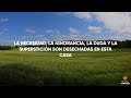 poderosos decretos para bendecir y consagrar tu casa y tu familia