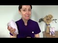 how to cleanse tone u0026 moisturise your skin like a professional using ishga skincare