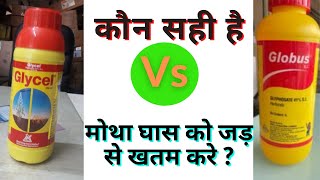 खेत में मोथा घास को जड़ से खतम करने की दवा। clycel Vs globus