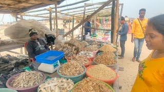 Dry Fish Market at Digha Mohona | Shutki Maach Bazar at Digha Mohona |  Biggest Hilsa Dry Fish |