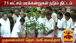 தமிழகம் முழுவதும் 71 லட்சம் மரக்கன்றுகள் நடும் திட்டம் தொடக்கம் | Tree